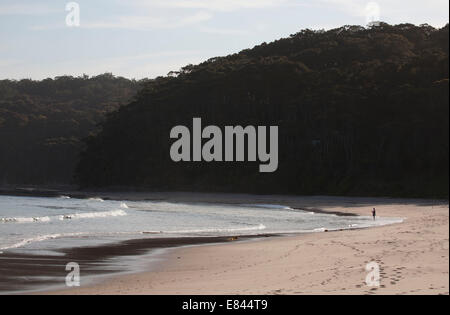 Ein einsamer Fischer an den sandigen Ufern des Pebbly Beach - Murramarang National Park South Coast NSW Australia Stockfoto