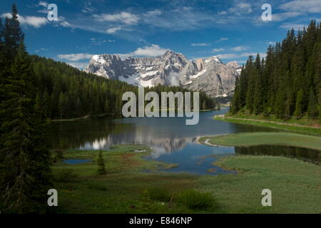 Lago di Misurina / Misurina See, mit marginalen Fen, Blick in Richtung des Sorapis Gruppe, Dolomiten, Italiens Stockfoto