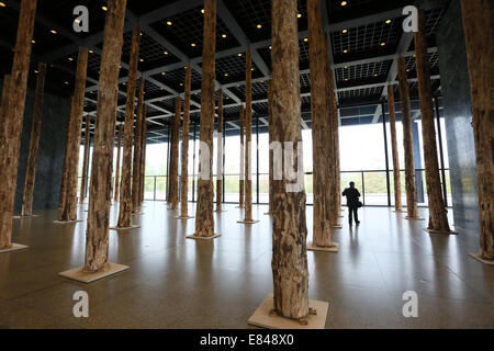 Berlin, Deutschland. 30. September 2014. Ein Besucher geht Thorugh Baumstämme auf dem Display im Erdgeschoss der neuen Nationalgalerie in Berlin, Deutschland, 30. September 2014. Die Installation von berühmten britischen Architekten Dacid Chipperfield besteht aus 144 Baumstämme und ist ein Prolog für die Renovierung der Galerie von Chipperfield für 2015 geplant. Bildnachweis: Dpa picture Alliance/Alamy Live News Stockfoto