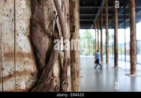 Berlin, Deutschland. 30. September 2014. Besucher zu Fuß zwischen den Baumstämmen im Erdgeschoss der neuen Nationalgalerie in Berlin, Deutschland, 30. September 2014 ausgestellt. Die Installation von berühmten britischen Architekten Dacid Chipperfield besteht aus 144 Baumstämme und ist ein Prolog für die Renovierung der Galerie von Chipperfield für 2015 geplant. Foto: STEPHANIE PILICK/DPA/Alamy Live-Nachrichten Stockfoto