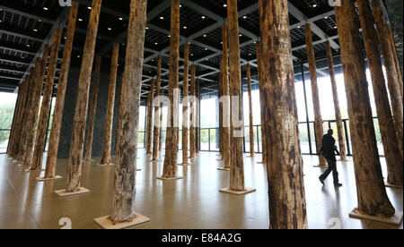 Berlin, Deutschland. 30. September 2014. Ein Besucher geht zwischen Baumstämmen auf dem Display im Erdgeschoss der neuen Nationalgalerie in Berlin, Deutschland, 30. September 2014. Die Installation von berühmten britischen Architekten Dacid Chipperfield besteht aus 144 Baumstämme und ist ein Prolog für die Renovierung der Galerie von Chipperfield für 2015 geplant. Foto: STEPHANIE PILICK/DPA/Alamy Live-Nachrichten Stockfoto