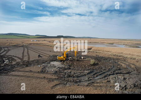 Erstellung und Pflege auf Cley kratzen / Salthouse Norfolk Widlife Vertrauen reservieren Stockfoto