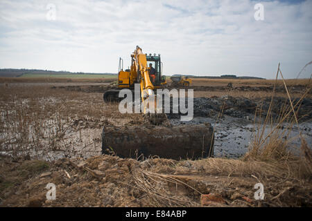 Erstellung und Pflege auf Cley kratzen / Salthouse Norfolk Widlife Vertrauen reservieren Stockfoto