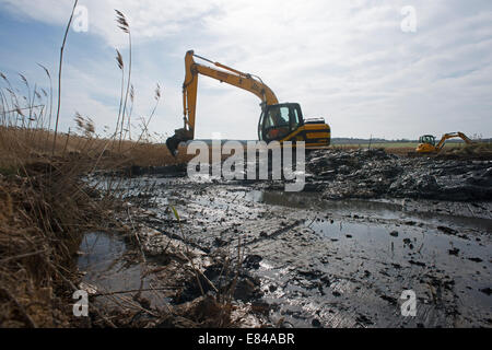 Erstellung und Pflege auf Cley kratzen / Salthouse Norfolk Widlife Vertrauen reservieren Stockfoto