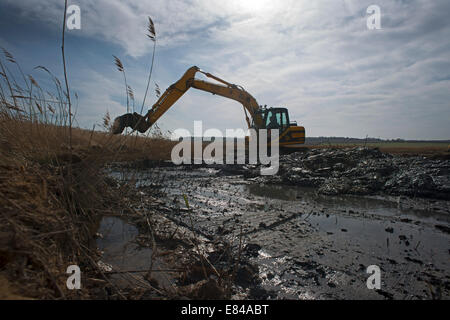 Erstellung und Pflege auf Cley kratzen / Salthouse Norfolk Widlife Vertrauen reservieren Stockfoto