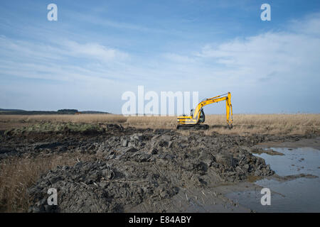 Erstellung und Pflege auf Cley kratzen / Salthouse Norfolk Widlife Vertrauen reservieren Stockfoto