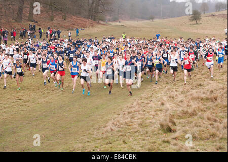 Annual Knole Run Sevenoaks School Kreuz Land Jugend 15 16 17 jährige 6 Meile laufen in Teams harte Ausdauer Rennen starten Stockfoto