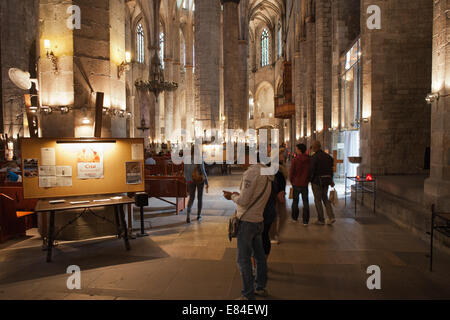 Innenraum der Basilika von Santa Maria del Mar in Barcelona, Katalonien, Spanien. Stockfoto