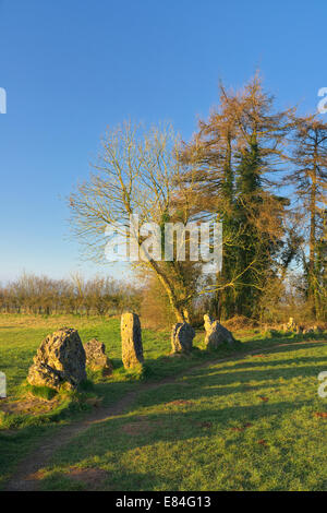 Detail des Königs Männer Steinkreis, Bestandteil der Rollright Stones Oxfordshire England UK Stockfoto