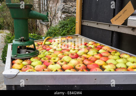 Dartington Cider Festival. Ein Vintage Apfelsaft und Apfelwein, die Maschine auf dem Apfelwein-Festival. Stockfoto