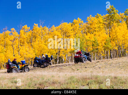 Touristen auf ATV genießen Sie Herbst Laub & Herbst Farben, Aspen Ridge, zentralen Colorado, USA Stockfoto