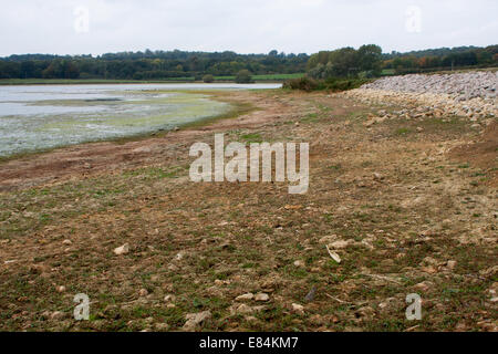 Aufgrund der fehlenden Niederschläge hat ein Strand am Ufer des Rutland Water, dem größten künstlichen Reservoir in Europa erschienen. Stockfoto