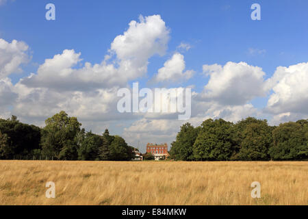 Bushy Park, SW-London, England, UK. 30. September 2014. Schönwetter-Wolken und blauer Himmel in Bushy Park als das schöne Wetter weiter auf den letzten Tag des Monats September. Die Temperaturen erreichten wieder 23 Grad heute offiziell so dass dies der heißesten und trockensten September seit Beginn der Aufzeichnungen vor 100 Jahr nach dem Met Office. Bildnachweis: Julia Gavin UK/Alamy Live-Nachrichten Stockfoto