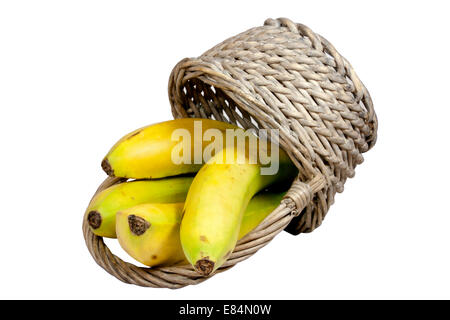 4 reife Bananen, die aus einem umgestürzten Weidenkorb verschütten Stockfoto