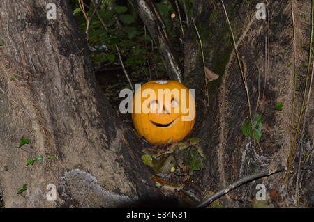 Halloween Kürbis, ist Halloween ist eine jährliche Feier beobachtet Ina Nummer des Landes in eine 31. Oktober Vorabend Stockfoto