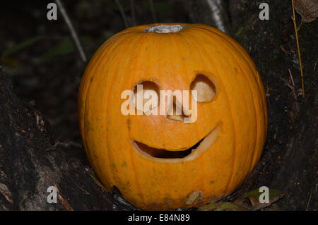 Halloween Kürbis, ist Halloween ist eine jährliche Feier beobachtet Ina Nummer des Landes in eine 31. Oktober Vorabend Stockfoto