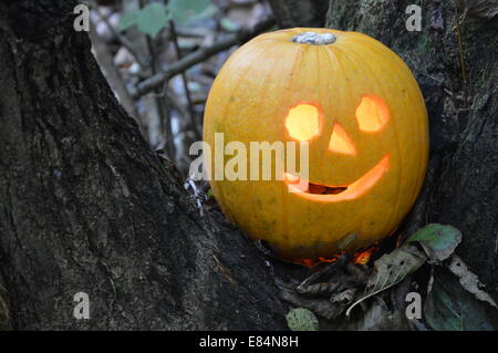 Halloween Kürbis, ist Halloween ist eine jährliche Feier beobachtet Ina Nummer des Landes in eine 31. Oktober Vorabend Stockfoto