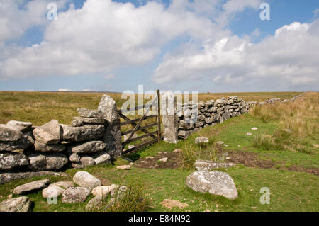 Alte trocken Steinmauer und Tor in der Nähe von Stonetor Hill auf Dartmoor, ein paar Meilen südlich von Gidleigh gemeinsamen Stockfoto