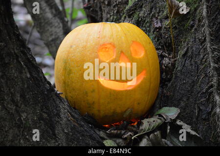 Halloween Kürbis, ist Halloween ist eine jährliche Feier beobachtet Ina Nummer des Landes in eine 31. Oktober Vorabend Stockfoto