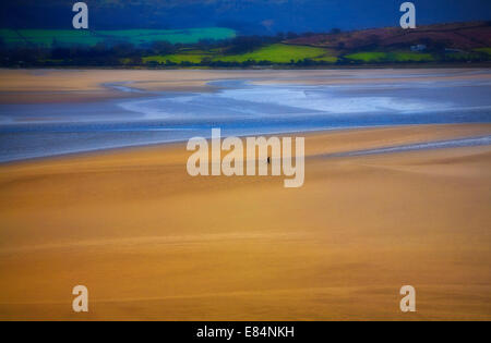 Einsamer Mann zu Fuß auf einen Sandstrand am Portmeirion - Standort für die 1960er Jahre Kultfilm "The Prisoner", Gwynedd, North Wales, UK Stockfoto