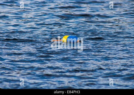 bunte Bojen im Wasser schweben Stockfoto