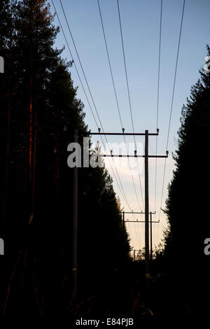 Hochspannungsleitung gehen durch den Wald, Finnland Stockfoto