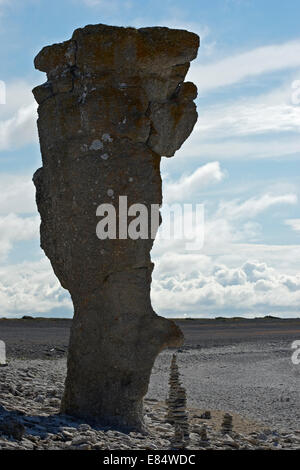 Kalkstein-Stacks genannt Rauks im Langhammershammer Färöer, Gotland, Schweden, Scandinavia Stockfoto