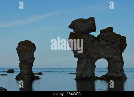Kaffepannan, Hund, Kalkstein Stapel namens Rauks im Gamla hamn Naturschutzgebiet von Lautervik auf der nördlichen Färöer, Gotland, Schweden, Skandinavien Stockfoto
