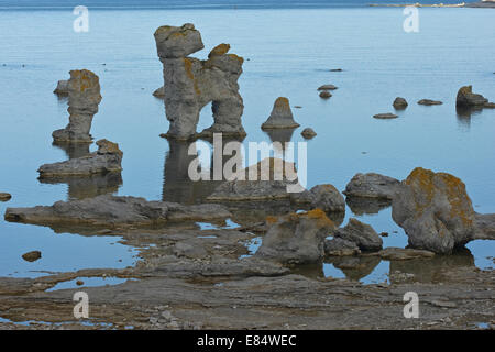 Kaffepannan, Hund, Kalkstein Stapel namens Rauks im Gamla hamn Naturschutzgebiet von Lautervik auf der nördlichen Färöer, Gotland, Schweden, Skandinavien Stockfoto