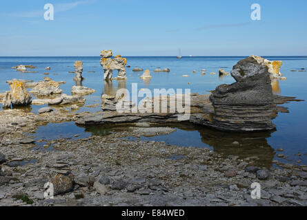 Kaffepannan, Hund, Kalkstein Stapel namens Rauks im Gamla hamn Naturschutzgebiet von Lautervik auf der nördlichen Färöer, Gotland, Schweden, Skandinavien Stockfoto