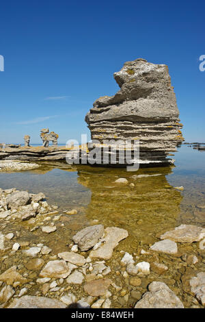Kalkstein-Stacks genannt Rauks in Gamla Hamnøya Naturschutzgebiet von Lautervik auf der nördlichen Färöer, Gotland, Schweden, Skandinavien Stockfoto