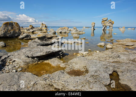 Kaffepannan, Hund, Kalkstein Stapel namens Rauks im Gamla hamn Naturschutzgebiet von Lautervik auf der nördlichen Färöer, Gotland, Schweden, Skandinavien Stockfoto