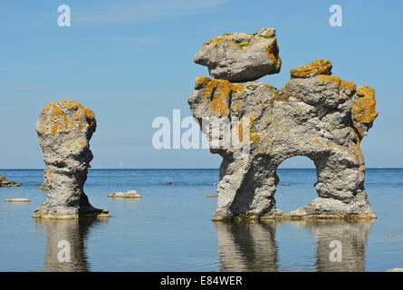 Kaffepannan, Hund, Kalkstein Stapel namens Rauks im Gamla hamn Naturschutzgebiet von Lautervik auf der nördlichen Färöer, Gotland, Schweden, Skandinavien Stockfoto