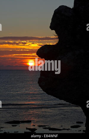 Kalkstein-Stacks genannt Rauks am Langhammershammer von Sonnenuntergang Färöer, Gotland, Schweden, Scandinavia Stockfoto