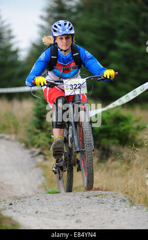 Lady-Mountainbiker, die Teilnahme an einem Enduro-Rennen Stockfoto