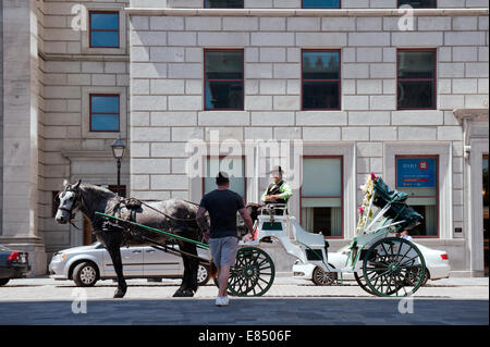 Potenziellen Kunden zu Fuß in Richtung eines Pferdes gezeichnet Schlitten in Old Montreal, Québec, Kanada. Stockfoto