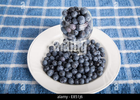 Frische Heidelbeeren in ein Glas auf einem weißen Teller und blaues Handtuch Stockfoto
