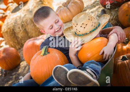 Zwei kleine Jungs spielen in Schubkarre im Kürbisbeet in einer rustikalen Landschaft. Stockfoto