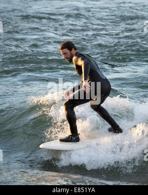 Fluss-Surfer auf den Bow River in der Innenstadt von Calgary. Die stationäre Welle entstand durch hohe Hochwasser im Jahr 2013. Stockfoto