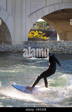 Mann surft auf dem Bow River neben der Louise Bridge im Stadtzentrum von Calgary. Die stationäre Welle wurde 2013 durch Hochwasser verursacht. Stockfoto