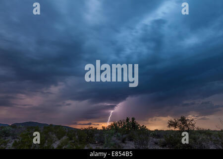 Gewitterwolken und Blitze bei Dugout Wells in Big Bend Nationalpark. Stockfoto