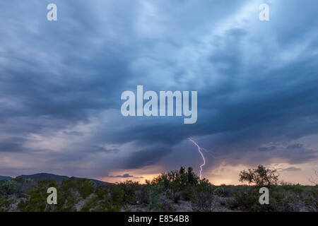 Gewitterwolken und Blitze bei Dugout Wells in Big Bend Nationalpark. Stockfoto