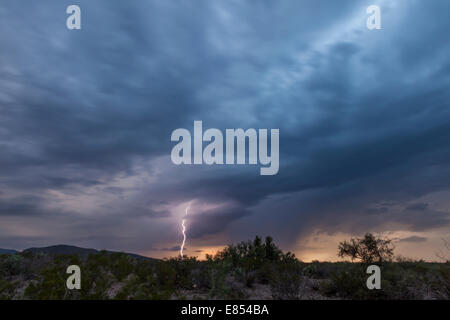 Gewitterwolken und Blitze bei Dugout Wells in Big Bend Nationalpark. Stockfoto