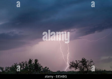 Gewitterwolken und Blitze bei Dugout Wells in Big Bend Nationalpark. Stockfoto