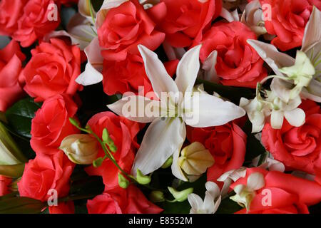 Bouquet von weißen Lilien und Rosen Stockfoto