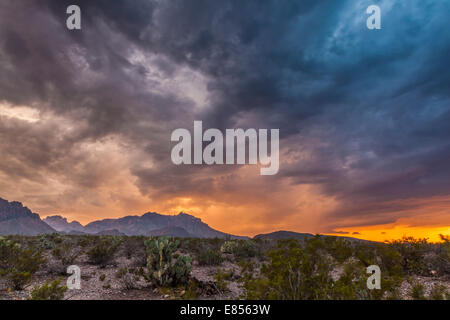 Thuderstorm Wolken über Chisos Mountains in Big Bend Nationalpark. Stockfoto