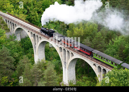 LUFTAUFNAHME. Historische und touristische Dampfeisenbahn auf einem Viadukt. Train des Pignes zwischen Entrevaux und Annot. Alpes-de-Haute-Provence, Frankreich. Stockfoto