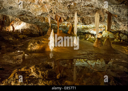 Stalaktiten Höhle, Borgio Verezzi Höhlen, Borgio Verezzi, Provinz Savona, Ligurien, Italien Stockfoto
