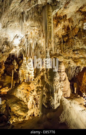 Stalaktiten Höhle, Borgio Verezzi Höhlen, Borgio Verezzi, Provinz Savona, Ligurien, Italien Stockfoto