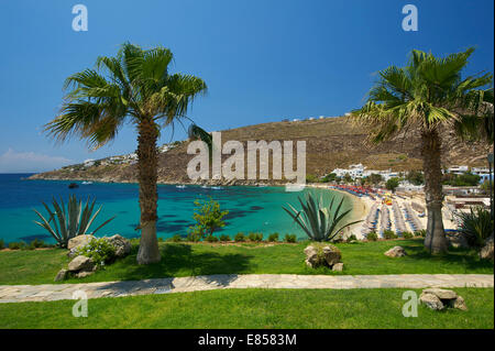 Küste, Platis Gialos, Mykonos, Kykladen, Griechenland Stockfoto